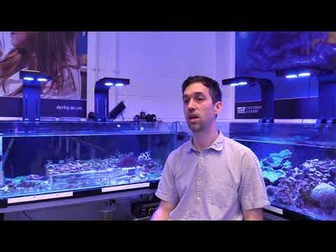 Coral Reef Research – Environmental Sustainability Research Centre (Video)