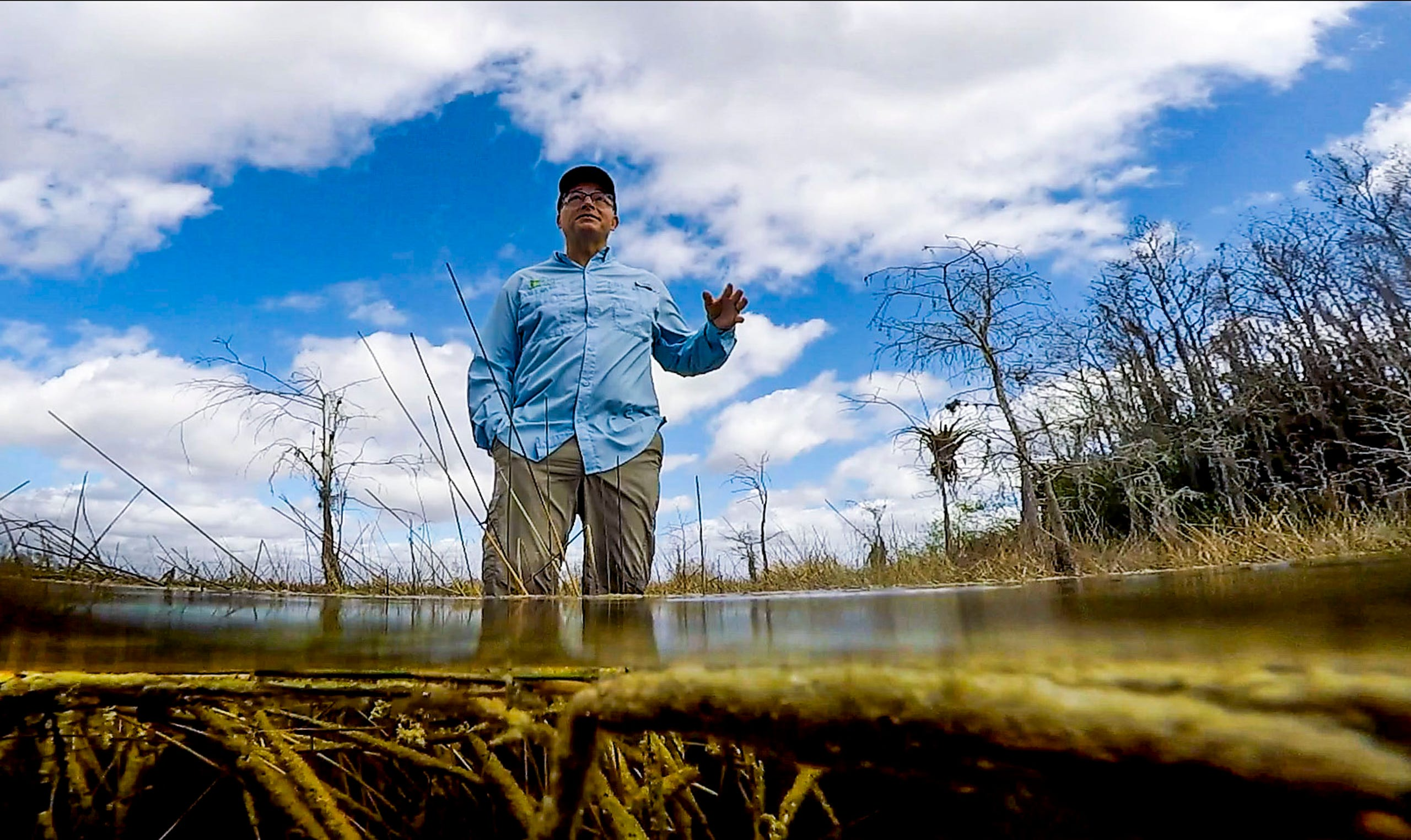 Small but mighty: Meet periphyton, the Everglades' hardest-working microorganisms