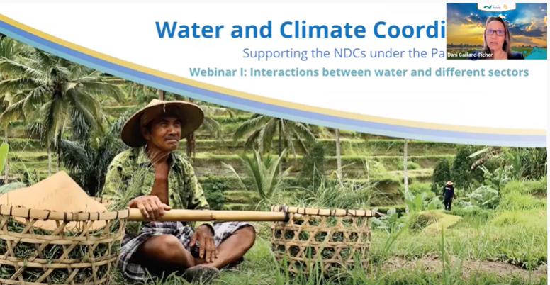 Webinar I: Interactions between water and different sectors