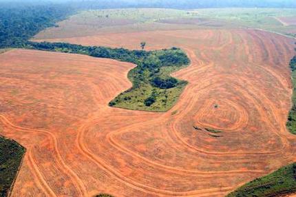 Brazil says Amazon deforestation down to lowest level