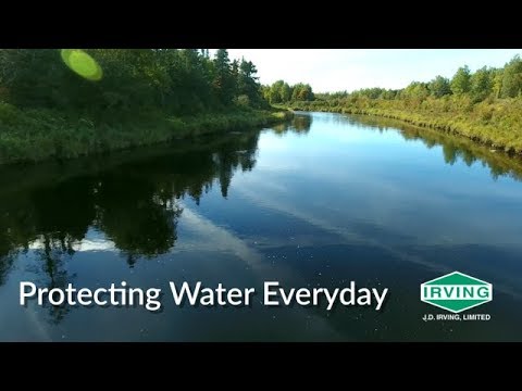 Here's How Remote Sensing Helps River Streams and Wetlands (Video)