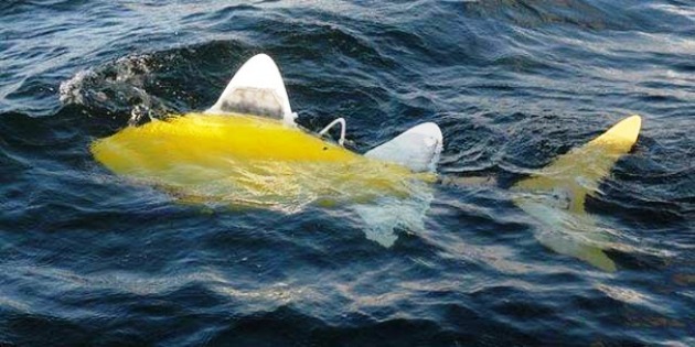 Robo-fish - New Weapon Against Water Pollution