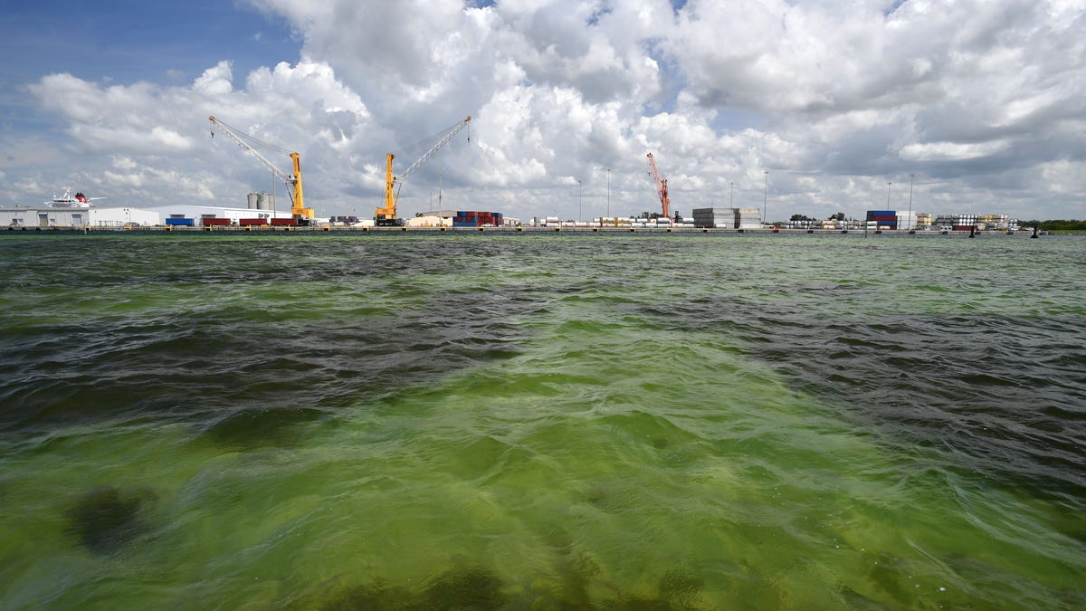 Florida crews are pumping wastewater into Tampa Bay to avoid a full reservoir breach: What we know