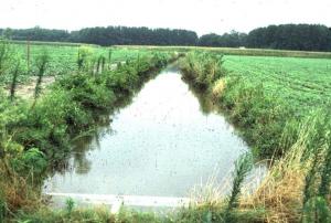 USDA Funding for Water Quality Study in Ag Watersheds