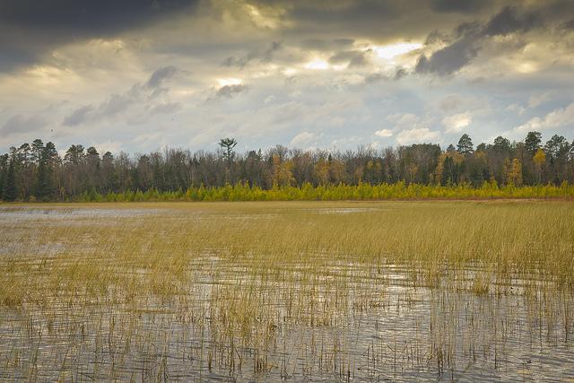 Evaluation of Wild Rice Waters Sulfate Standard 