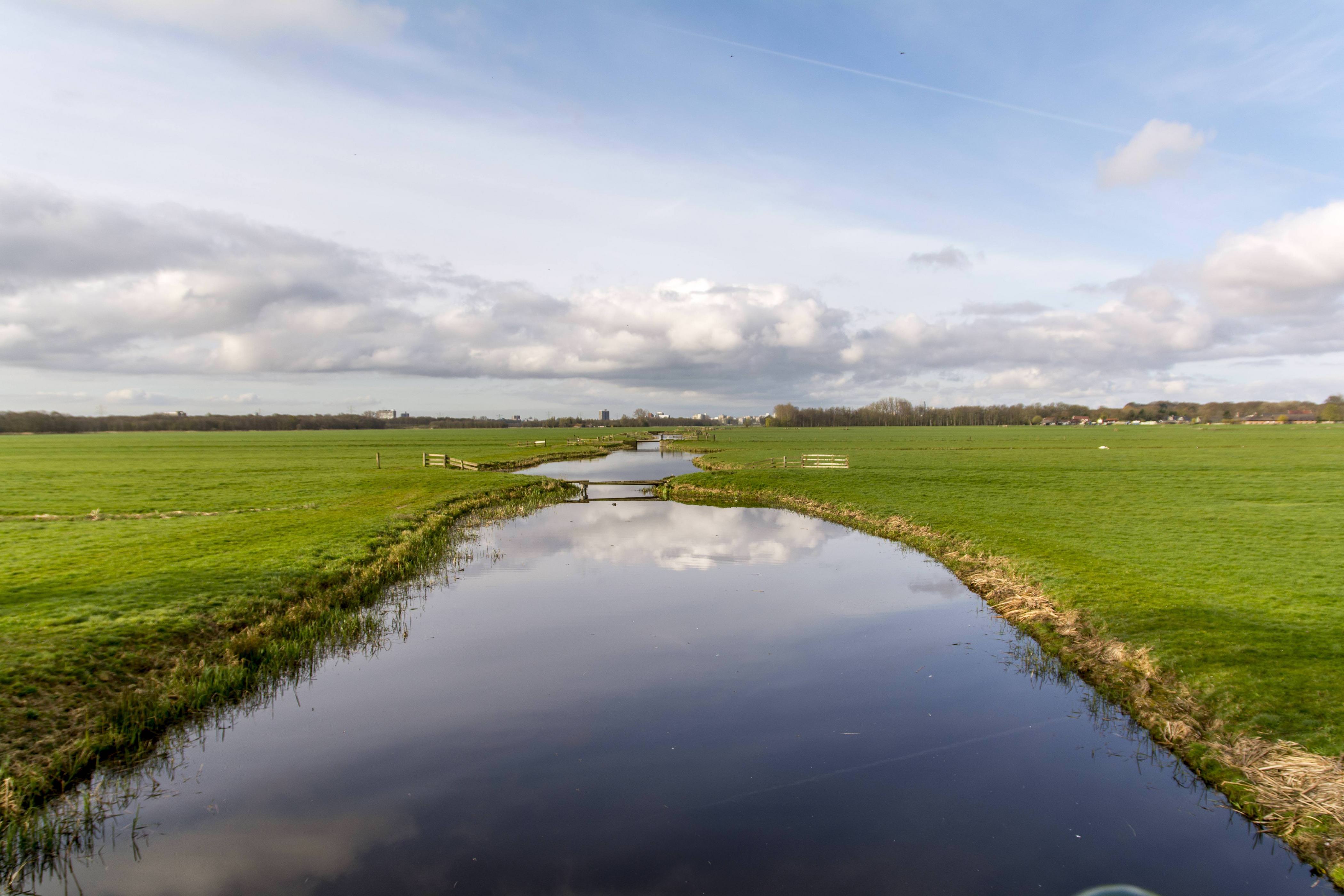 New Research to Help Reduce Number of Algae Blooms that Form Annually