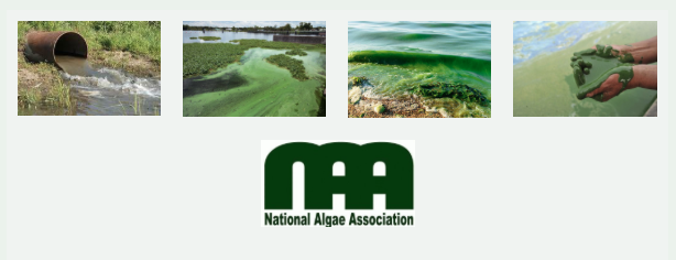 More harmful algae bloom researchwithout action is not enough!Nutrient runoff reduction at nonpoint sources + remediation of harmful algae bloom...