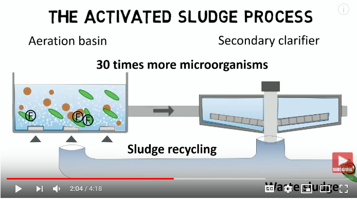 Activated Sludge Process and IFAS: Design Rules + Guideline (Video Animation)