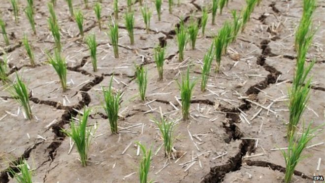 North Korea Facing Severe Drought