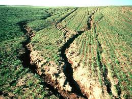 Agriculture practices to reduce the soil erosion