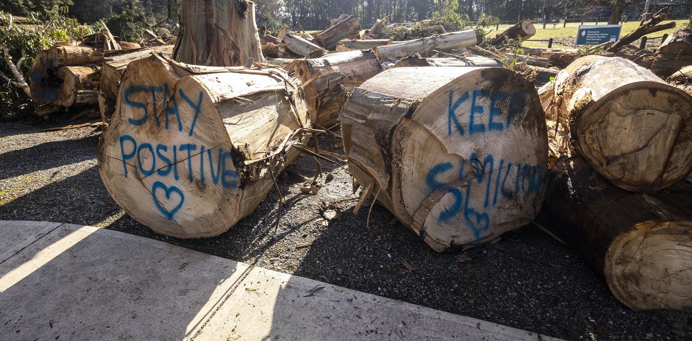 Victoria&#039;s wild storms show how easily disasters can threaten our water supply