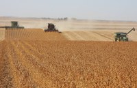 Harvests in the US to Suffer from Climate Change