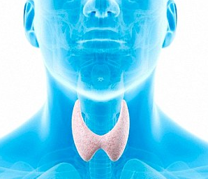 Fluoride in Water Linked to Thyroid