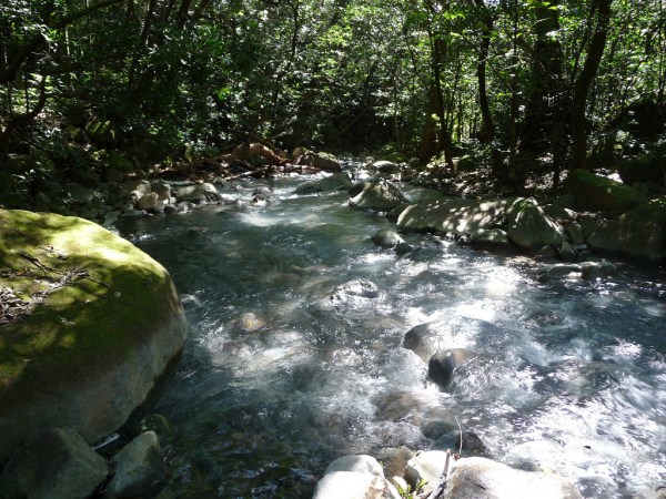 Costa Rica Eyes National Parks’ Volcanoes for Energy