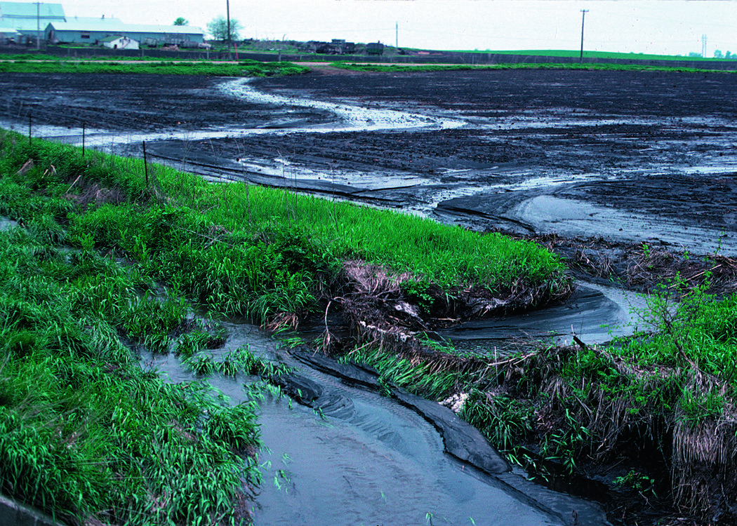 Which ​Incentives ​Prompt Farmers ​to Reduce ​Phosphorus ​Runoff ​