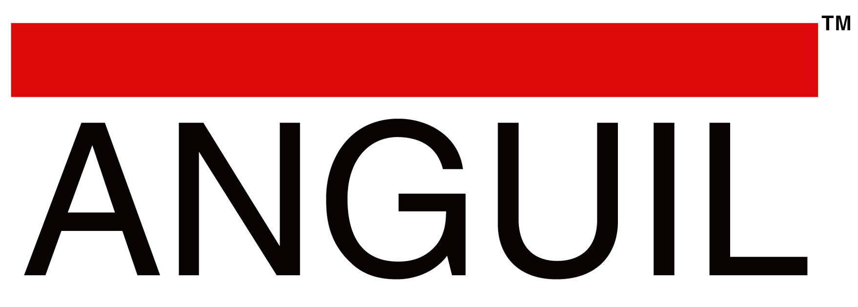 Anguil Environmental Systems, Inc.