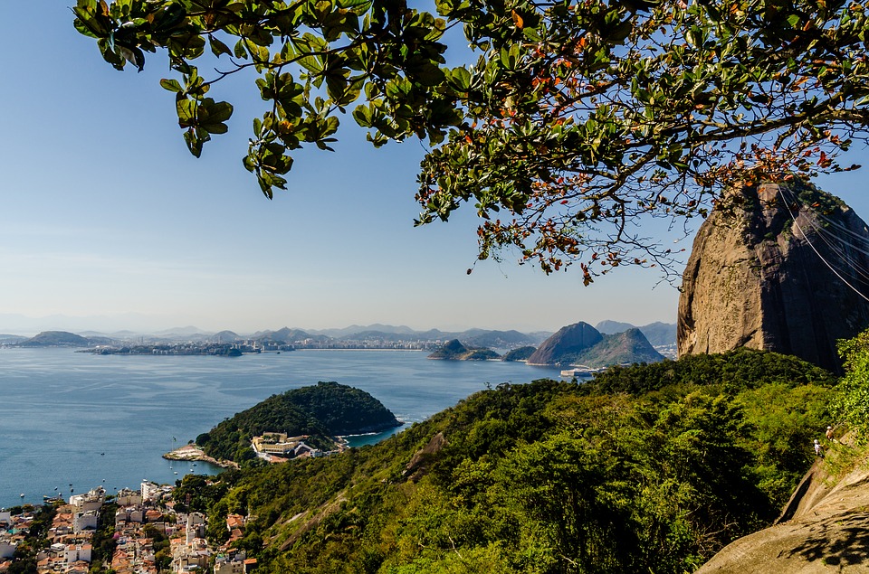 Restoring Rio de Janeiro’s Forests Could Save $79 Million in Water Treatment Costs