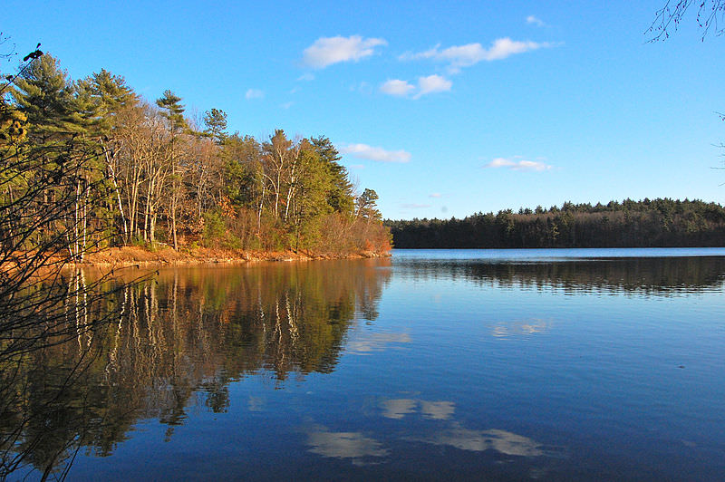 Walden ​Pond’s ​Ecosystem ​Change – ​Case Study ​