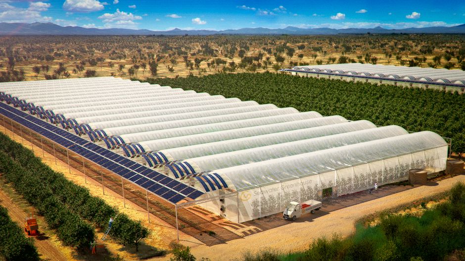 Seawater Greenhouses to Bring Life to the Desert