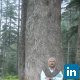 thomas chacko, Envirotreat Enterprises - Consultant