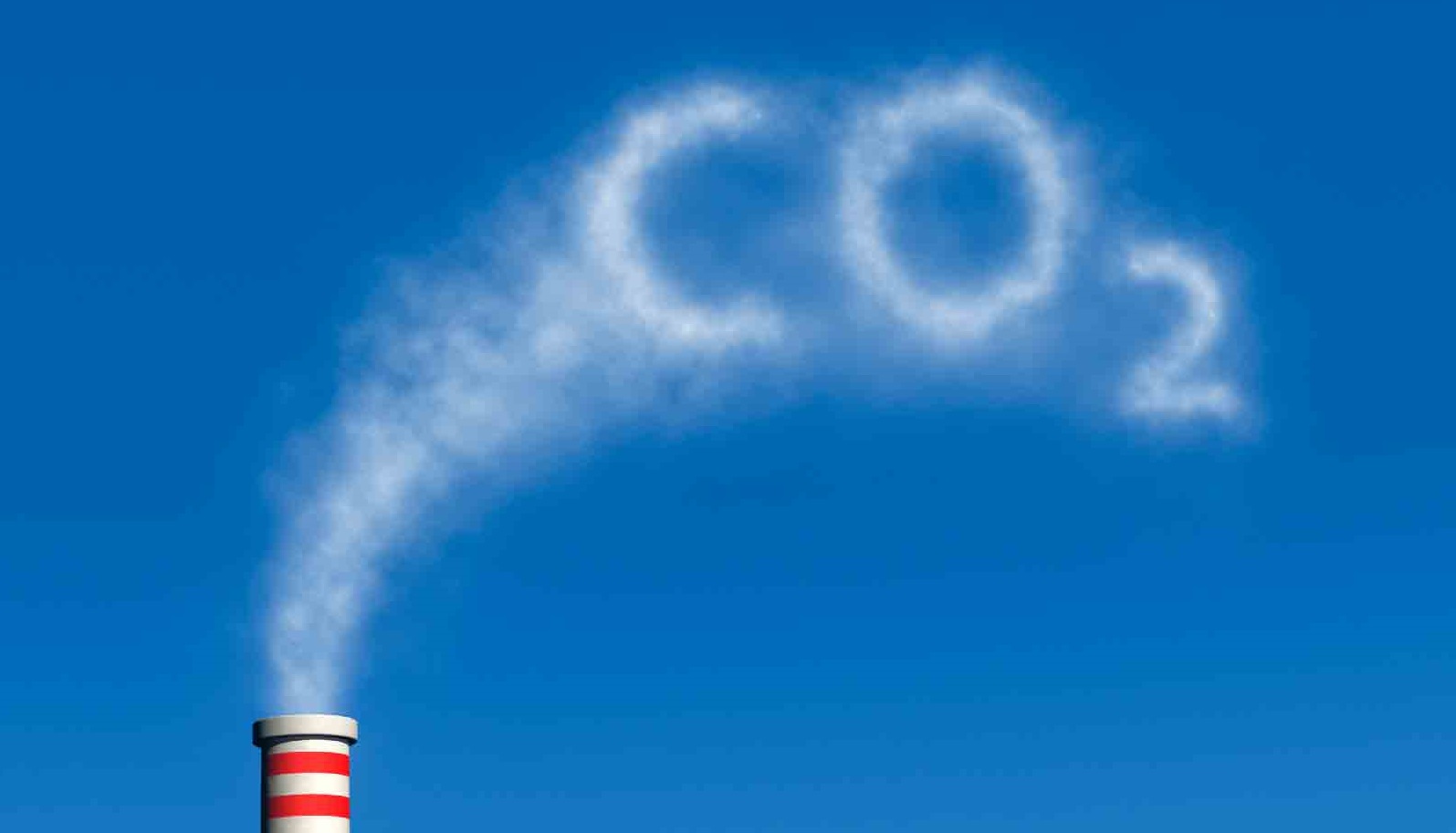 Rising CO2 Levels Indirect Effects on Ecosystems