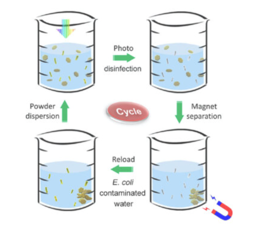 New nontoxic powder uses sunlight to quickly disinfect contaminated drinking water