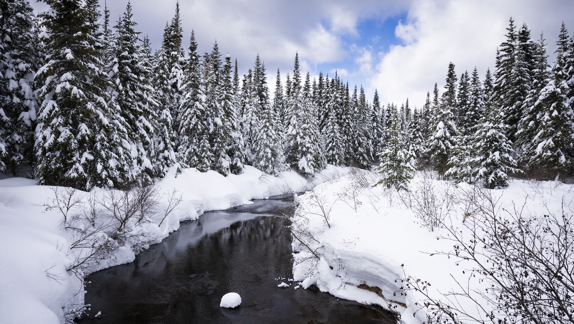 Researchers discover game-changing method to clean up polluted water: 'So exciting'