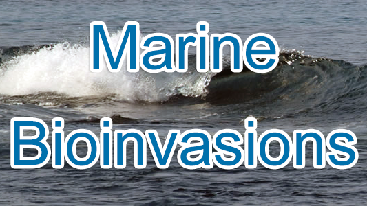8th International Conference on Marine Bioinvasions