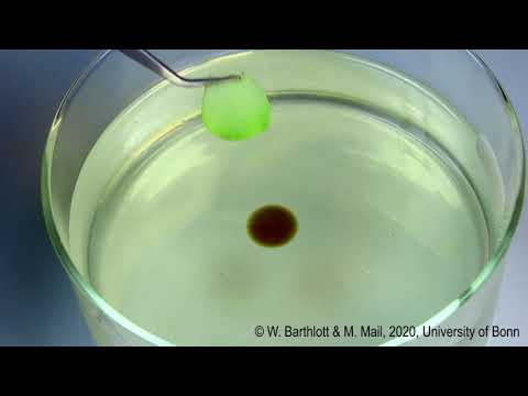 New method to remove oil from water