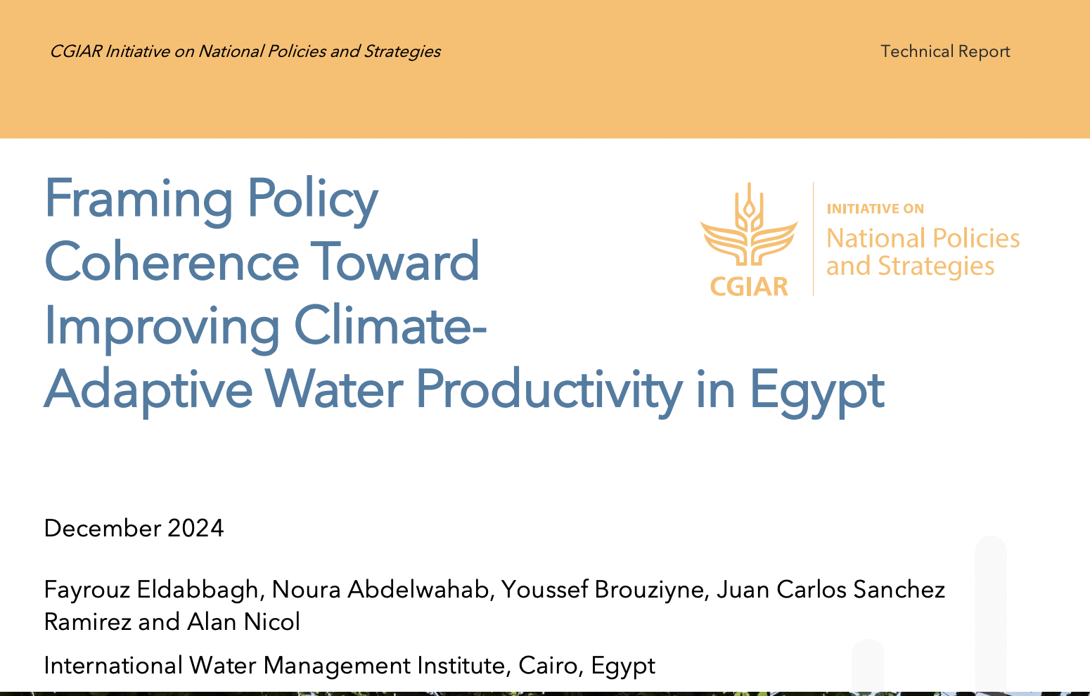 National policies related to food, land, and water (FLW) systems in Egypt