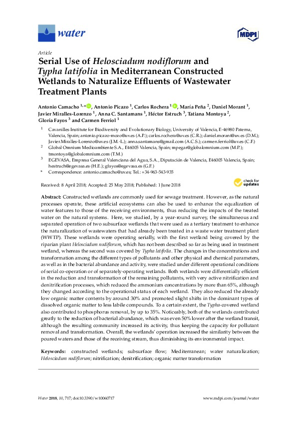 Use of Plants in Constructed Wetlands to Naturalize Effluents of Wastewater Treatment Plants