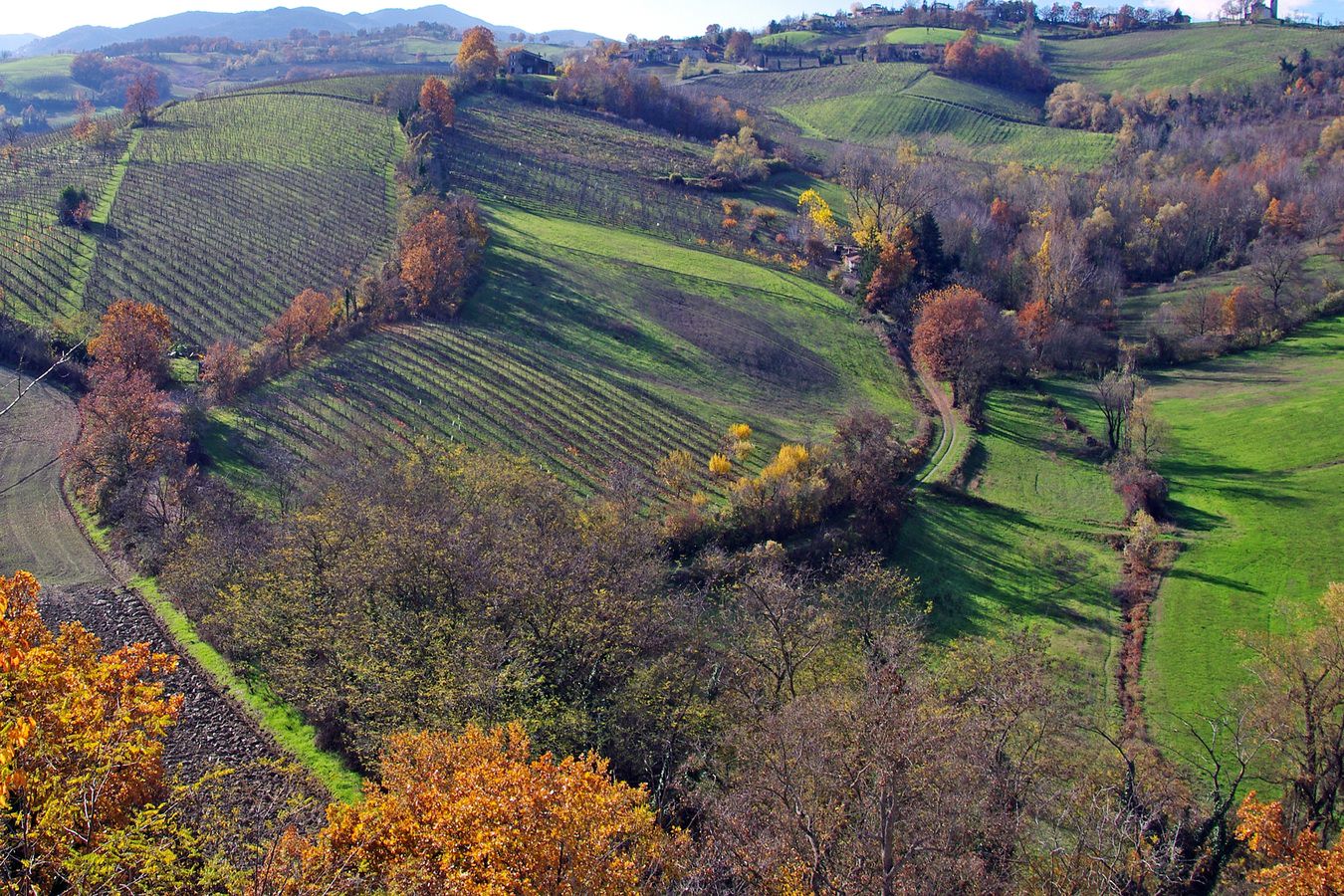 Ancient Farming Techniques Could Help Mitigate Climate Change