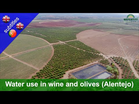 Efficient Water Use Management in the Alentejo Region, Portugal