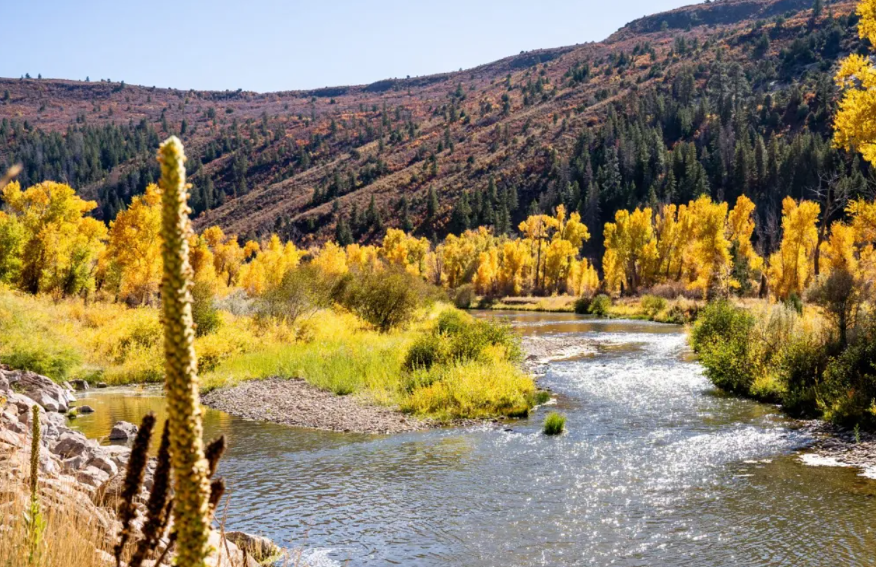 An Unlikely Coalition to Protect Colorado’s Dolores River - Colorado Water Trust