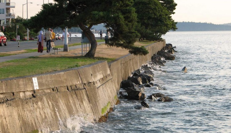 First Salish Sea-wide shoreline armoring study shows cumulative effects on ecosystem  |  UW Today