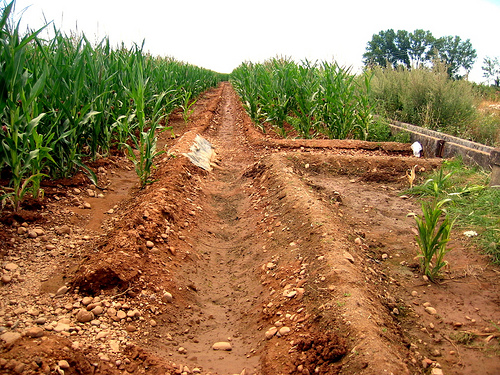 Climate Tech Revolution for Villages in India