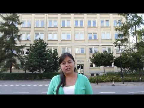 Sustainable groundwater remediation