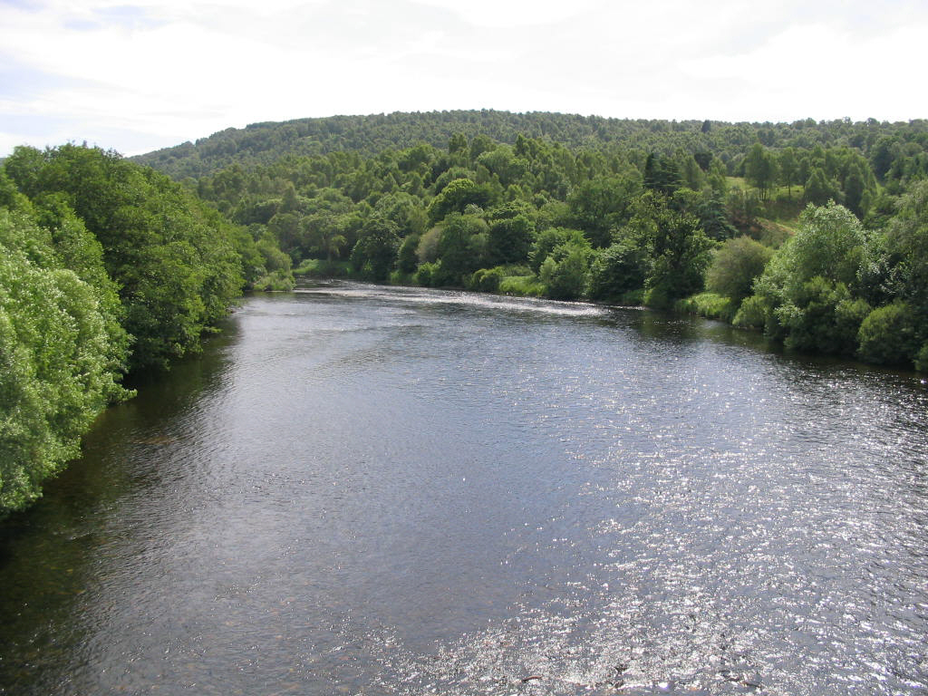 Perth Cleaning up Tay River