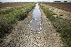 China faces water issues over unsustainable farming practices