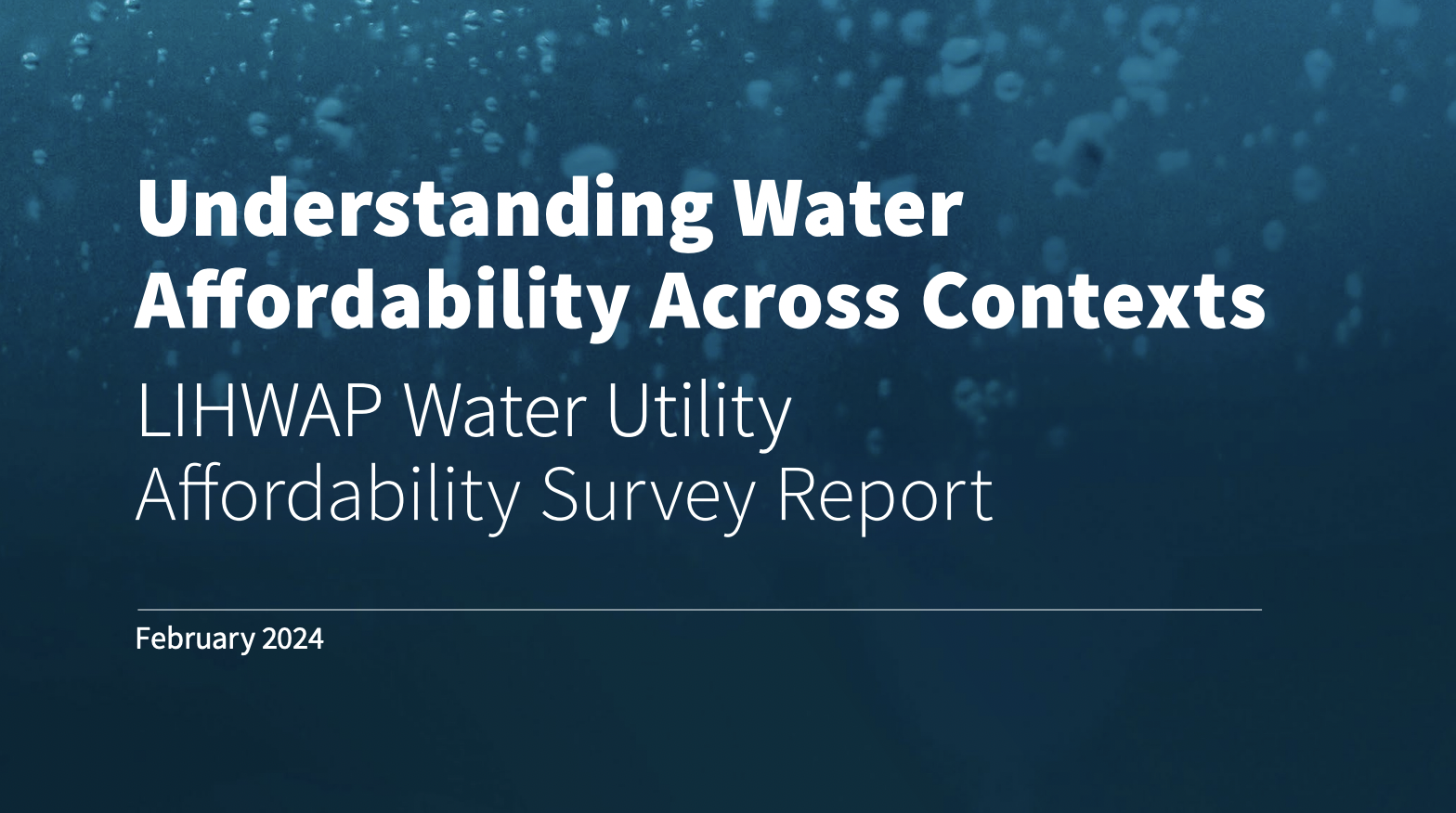 Large Scale Water Utility Affordability Survey Report