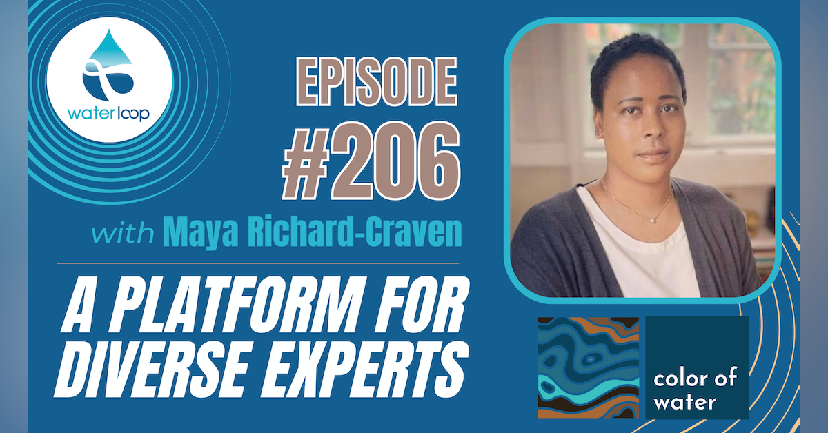 #206: A Platform For Diverse Experts