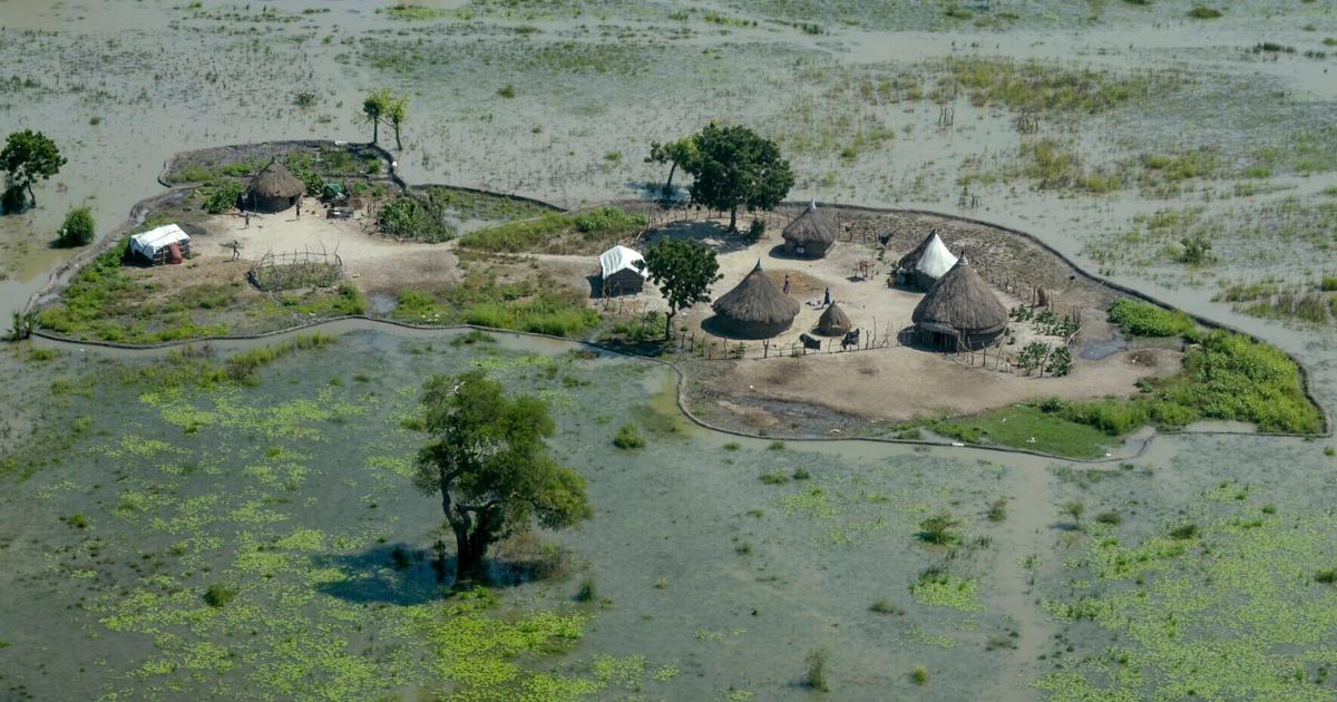 South Sudan suspends dredging of Naam river, Sudd wetlands