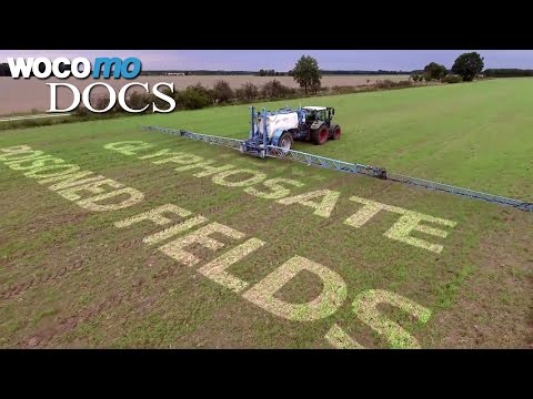 Poisoned Fields - Glyphosate, the underrated risk? (HD 1080p)