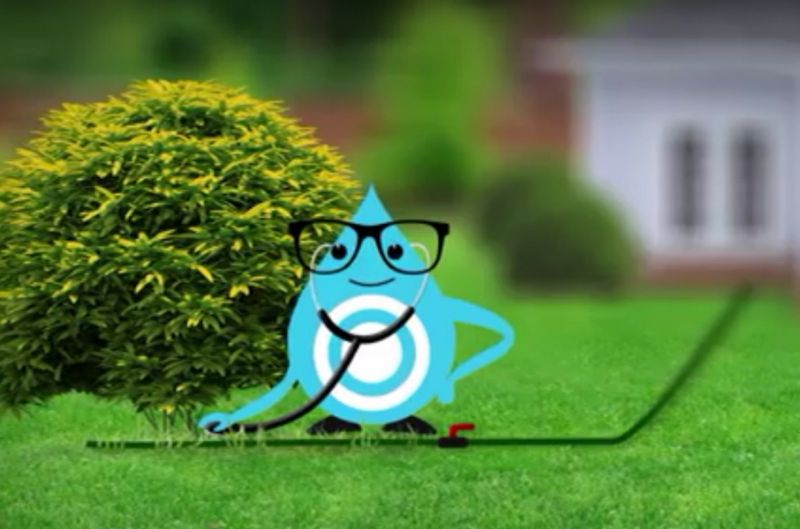 Exilong Smart Irrigation System Save Water and Frustration