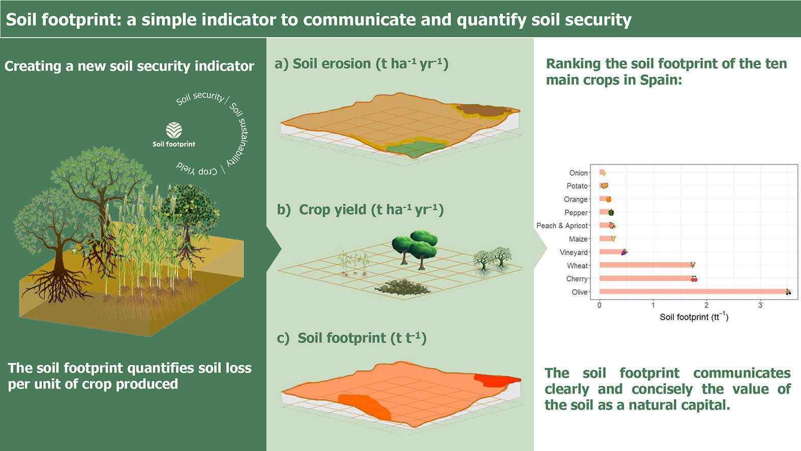 Soil footprint: A simple indicator of a crop&#039;s impact on soil erosionAgriculture faces a challenge on which the future of the planet depends, to...