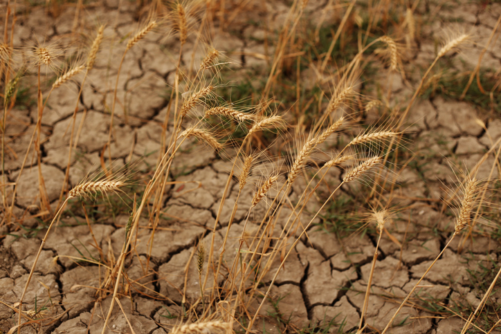 India&#039;s water crisis becoming a problem for PM Narendra Modi