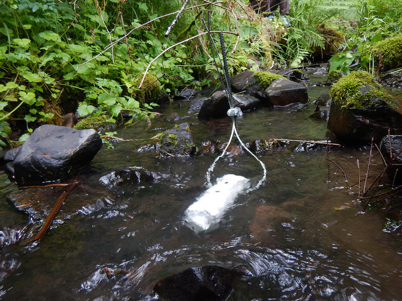 Impacts of ​Logging on ​Downstream ​Temperatures of ​Streams ​