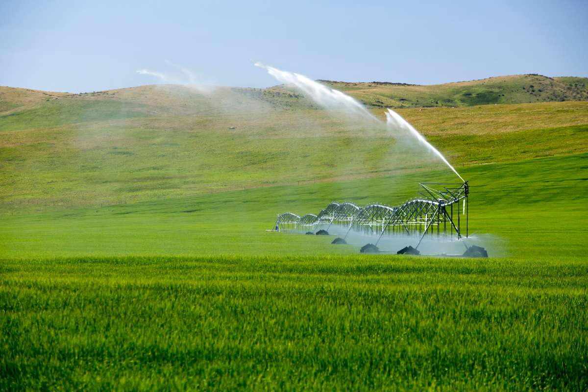 Sample Proposal on "Water Management Solutions for Sustainable Irrigation"Executive SummaryWater scarcity is a growing challenge, particularly i...