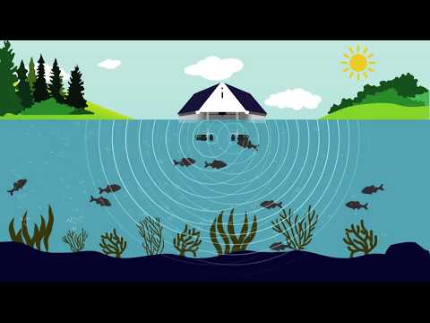 How LG Sonic Ultrasound Technology Controls Algae