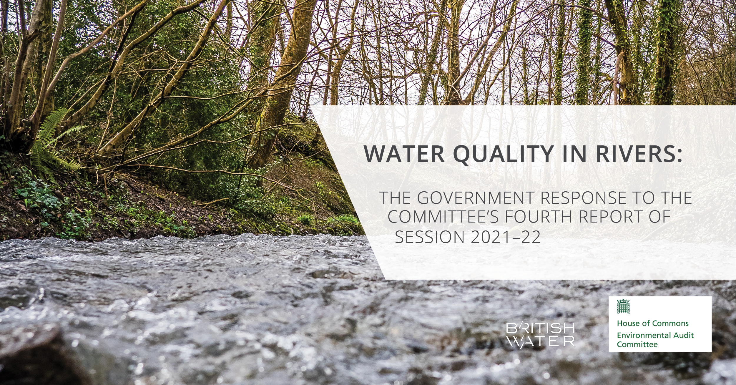 Water Quality In Rivers: Government Response To The Committee&rsquo;s Fourth Report Of Session 2021&ndash;22British Water and the Grease Contractors Ass...
